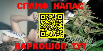 трава Камышлов